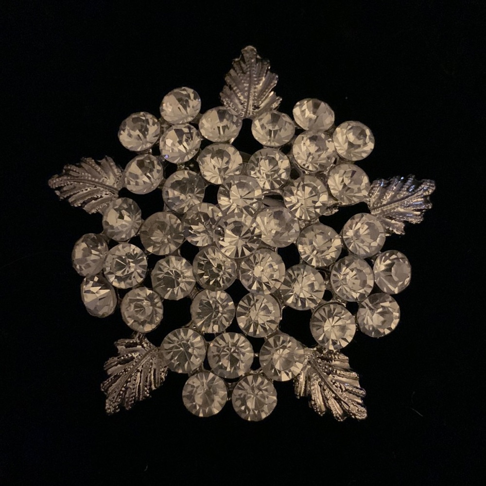 Stunning Brooch New